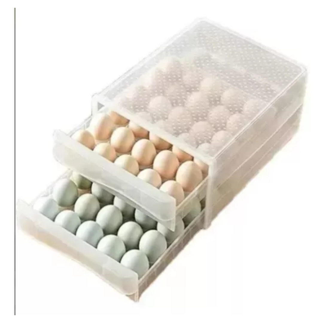 Organizador Huevos Contenedor